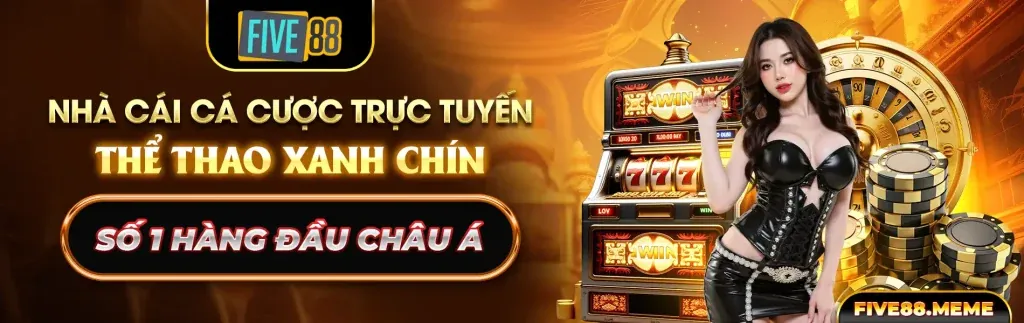 Biểu đồ phân tích hiệu suất trang web